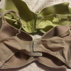 Cacique Intimates & Sleepwear - Cacique bra Bundle 40DDD Cacique Intimates & Sleepwear - Cacique bra Bundle 40DDD
